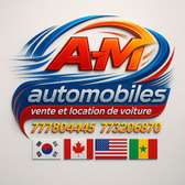 AM AUTOMOBILES