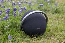 Harman Kardon ONYX 7