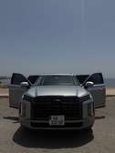 LOCATION HYUNDAI PALISADE ESS BVA 4X4 2024