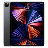 Ipad pro 5th gen