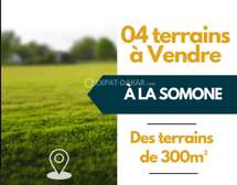 4 TERRAINS DE 300m2 À VENDRE À LA SOMONE