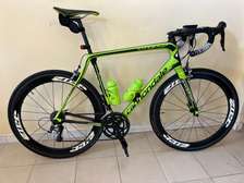 cycliste carbone