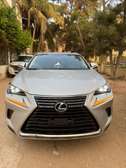 Lexus NX300H Année 2018