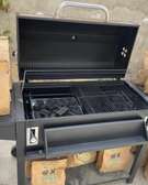 Barbecue au Charbon de bois
