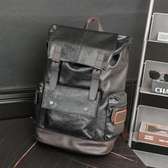 Sac à dos en cuir de luxe