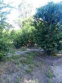 Ferme agricole à vendre à Darou koudoss