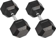 Paire d'haltères hexagonaux pour entraînement (15 kg)