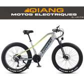 vélo électrique