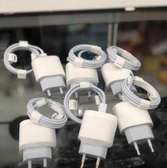 Chargeur iPhone original