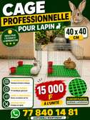 Cage lapin Chat chien poule pigeon