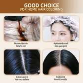 Shampoing Colorant Noir 3 en 1 – Black Hair Dye (500 ml)