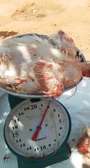 Poulet 2KG sur pied ou deplumé