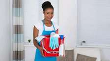 Femme de ménage cuisinière