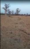 Terrain de plus d1hectare a céder a Nguekhokh