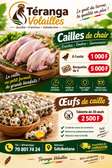 Chair de caille