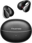 Truefree B1