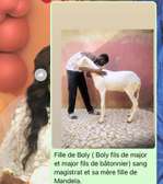 Vente brebis ladoum