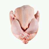 Vente de poulet de de chair