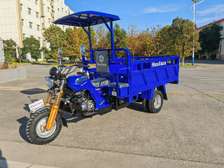 TRICYCLE 300cc eau 5roues