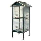Cage Oiseaux Domestique