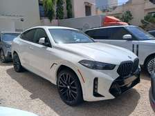 Bm x6 pacm
