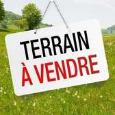 Terrain à vendre à TOUBA