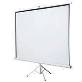 ECRAN DE PROJECTION SUR PIED 2M40/2M40