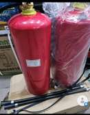 Instecteurs 6 kg ( poudre)
