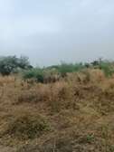 21 hectares à vendre à sindia entre Nguekhokh et Ngerigne
