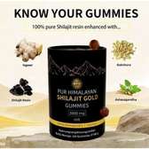 Pur Himalayan Shilajit Gold 3000 mg 60 gummies énergie