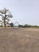 2 Terrains clôturés d'1ha chacun, à vendre à Nguekokh