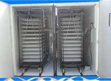 Couveuse industrielle 8440 œufs