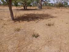 2,50 ha à fort potentiel : l’emplacement idéal vers Tassette
