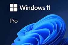 Licences Office 2021- 2024 & Windows Pro