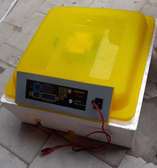 Couveuse automatique neuve