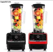 Mixeur fruit 2 en 1 2.5L