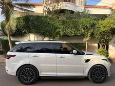 Chauffeur professionnel de 15 d expérience
