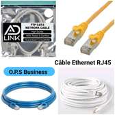 Câble Ethernet RJ45 1m 5m 10m 100m 300m