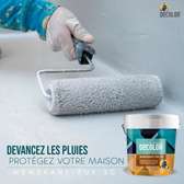 Peinture Etanchéité liquide