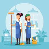 Femme de ménage cherche du travail