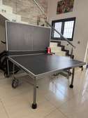 Table de ping pong