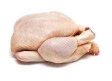 Vente de poulet de chair