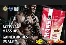 Activlab MASS UP 1200g de poudre de protéine