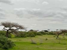Terrain agricole a vendre