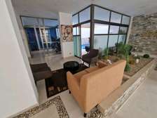 Très beau penthouse F6 au Virage