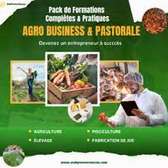 FORMATIONS RENTABLE : AGRICULTURE, ELEVAGE, FABRICATION  JUS