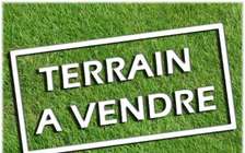 Terrain 500m2 angle bail à Saly Carrefour