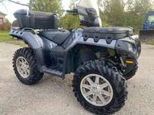 Quad polaris 1000