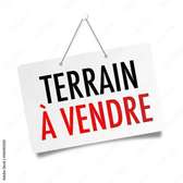 Terrain commercial Zac Mbao Titre foncier