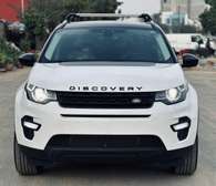 Range Rover discovery